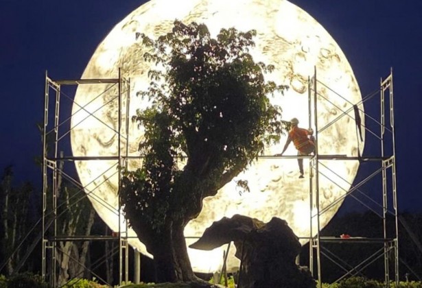 Tác Phẩm nghệ thuật - Biểu tượng artwork 